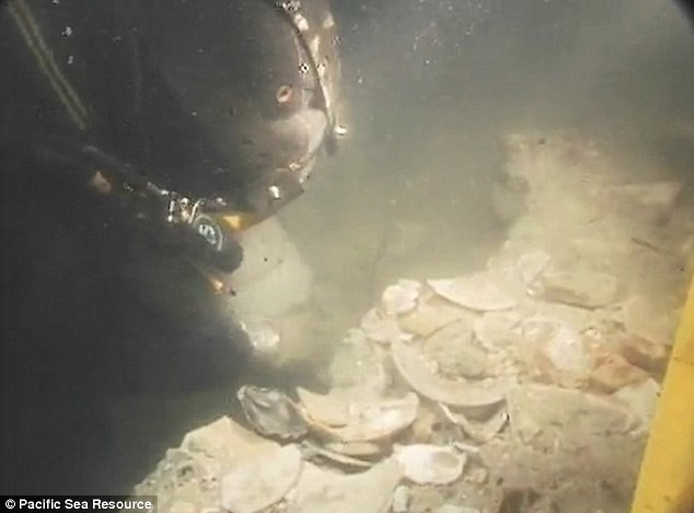 Nhiều món đồ gốm cổ với những dòng chữ khắc tiết lộ nguồn gốc của nó đến từ Jianning Fu, Trung Quốc.