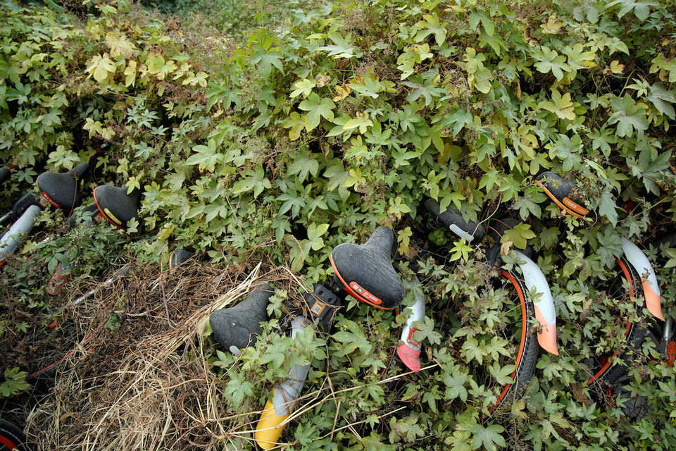 Do vậy, người thuê xe có thể tùy ý để xe đạp ở bất cứ đâu. Các công ty sẽ dùng thiết bị GPS để xác định vị trí của từng chiếc xe.