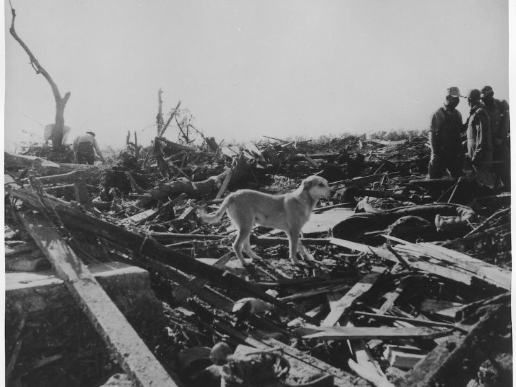 Vào năm 1955, ít nhất 46 cơn lốc xoáy đã tàn phá Kansas khiến nhà cửa của nhiều người dân bị phá hủy.