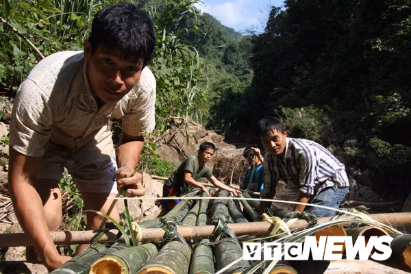 Đóng bè vào hang.