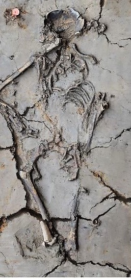 Sau quá trình kiểm tra, các chuyên gia phát hiện những mảnh vụn xương của một đứa trẻ sơ sinh ở gần cánh tay người phụ nữ. Đứa trẻ này chết khi mới 2 tháng tuổi.