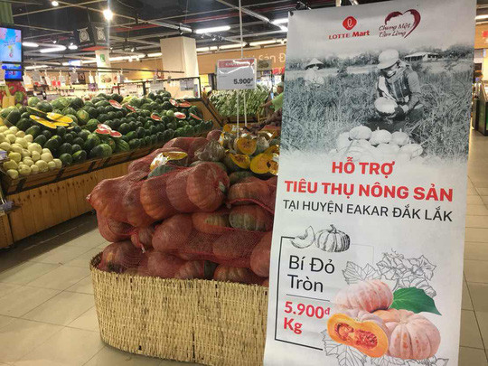 Lotte Mart dự kiến giúp nông dân Đắk Lắk tiêu thụ 50 tấn bí đỏ trong đợt này