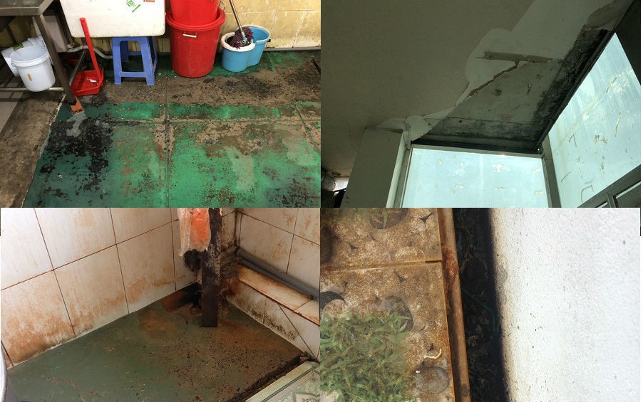 On lanh vi khuan trong bo lam banh mi vu 55 nguoi ngo doc