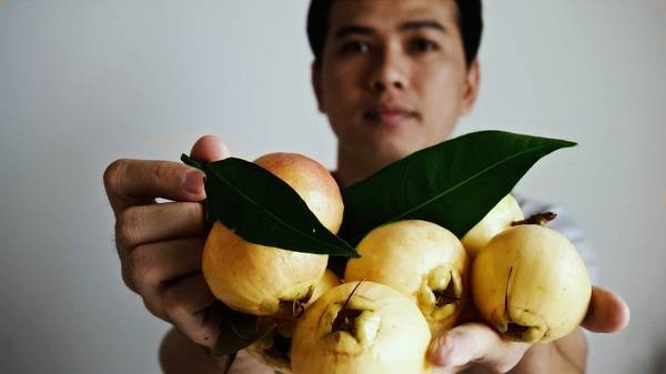 Trên thế giới, trái lý có nhiều ở Mỹ, Ấn Độ, Malaysia, Indonesia... và các nước này xuất khẩu trái lý rất rầm rộ. Ảnh blogspot.