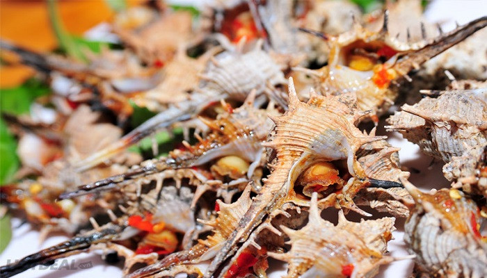 Ốc gai xương rồng được xem là món quà của biển. Ảnh divui.