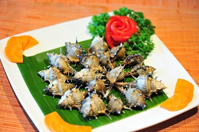 Ốc gai xương rồng tương đối hiếm, vì vậy mà ngư dân Phú Quốc khi bắt được thường ăn chứ không đem bán. Ảnh dulichvietnam.