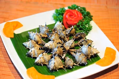 Ốc gai xương rồng tương đối hiếm, vì vậy mà ngư dân Phú Quốc khi bắt được thường ăn chứ không đem bán. Ảnh dulichvietnam.