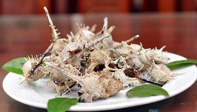 Ốc gai xương rồng được bắt bằng cách dùng tay để mò hoặc cào lưới đánh bắt chung với cá. Ảnh dulichvietnam.