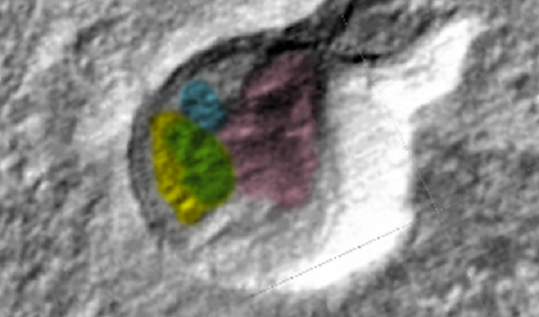 Hinh anh nhu mat nguoi ngoai hanh tinh tren nui lua sao Hoa