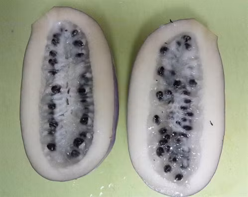 Nho tím Nhật Bản là loại cây thân leo thường được tìm thấy ở vùng núi Tohoku, đảo Honsu, miền Bắc Nhật Bản. Hiện nay, loại cây này cũng được trồng ở Yamagata. Ảnh phunuonline.