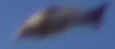 Bi an vat the la hinh ca khong lo chao luon bau troi-Hinh-2