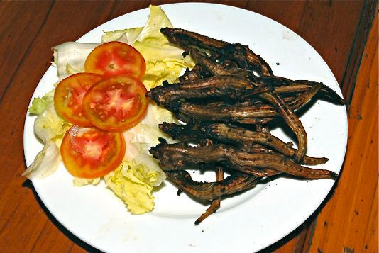 Nhông cát trinh sản có khả năng trinh sản, nghĩa là chỉ có một cá thể mẹ (không cần con đực, bố) là có thể sinh sản được. Ảnh wordpress.