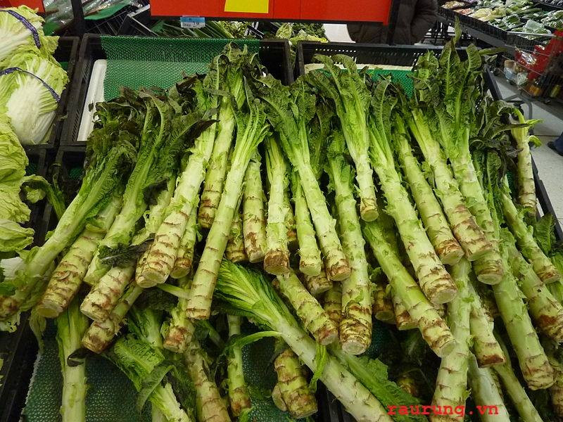 Rau ngó xuân thường được trồng ở những vùng xứ lạnh. Ảnh fbcdn.