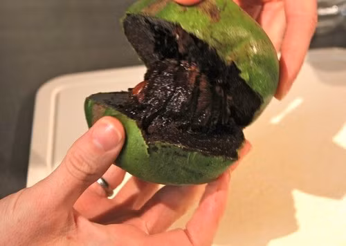 Không chỉ ngon, quả hồng đen còn rất giàu dinh dưỡng. Thậm chí, loại quả này còn được đánh giá là một trong 10 loại trái cây nhiệt đới tốt cho sức khỏe nhất. Ảnh Hzcdn.