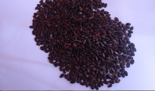 Hạt dưa là loại hạt chứa nhiều chất dinh dưỡng như protid, glucid, lipid, vitamin B1, B2, E, PP và hàng loạt khoáng chất thiết yếu khác như canxi, sắt, kẽm, phốt pho, selen...Ảnh Tapchidinhduong.