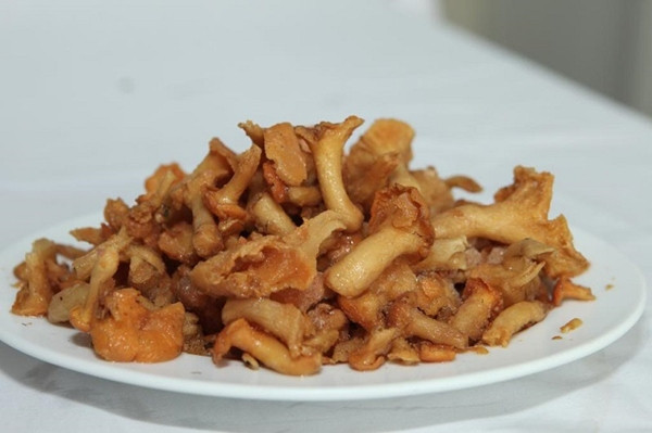 Cùng với nấm hương, nấm kim châm, nấm tai mèo hay nấm rơm, nấm mỡ gà là một trong những loài nấm được trồng phổ biến ở nước ta. Ảnh launamgiakhanh.