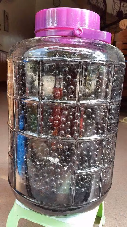 Mặc dù vị khá chua nhưng nho rừng vẫn được yêu thích do an toàn, không có thuốc bảo vệ thực vật. Ảnh dongamruou.