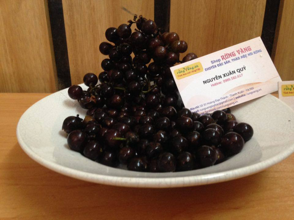 Nho rừng bắt đầu chín mọng từ cuối tháng 9 đến hết tháng 10. Nho rừng thường được dùng để làm siro, ngâm rượu, quả xanh được dùng để nấu canh chua. Ảnh rungvang.