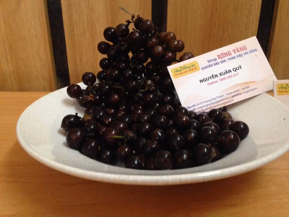 Nho rừng bắt đầu chín mọng từ cuối tháng 9 đến hết tháng 10. Nho rừng thường được dùng để làm siro, ngâm rượu, quả xanh được dùng để nấu canh chua. Ảnh rungvang.