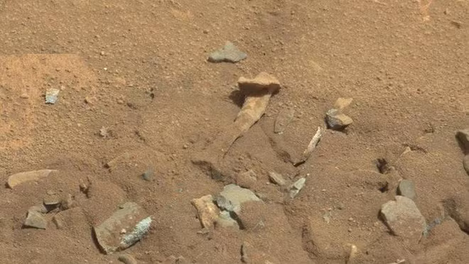 Nguồn ảnh: Google.