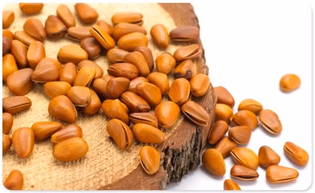 Hạt thông mới xuất hiện trên thị trường vài năm nay nhưng rất được người Việt Nam ưa chuộng. Ảnh Evaviet247. 