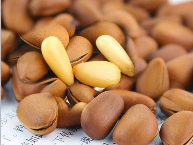 Có nhiều cách sử dụng hạt thông như dùng để ăn vặt, trộn salat, gỏi, ăn kèm với bánh mỳ, bánh ngọt, nấu cháo, cho vào cơm rang. Ảnh Hatngonplus.