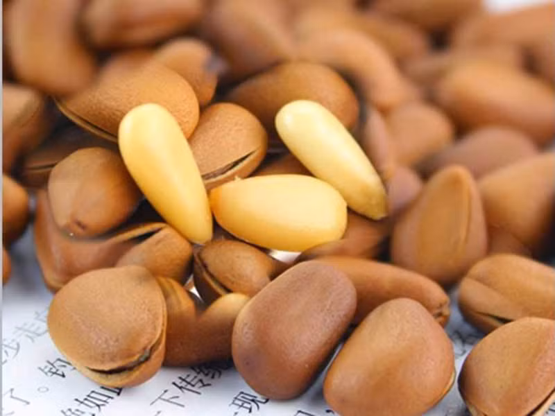 Có nhiều cách sử dụng hạt thông như dùng để ăn vặt, trộn salat, gỏi, ăn kèm với bánh mỳ, bánh ngọt, nấu cháo, cho vào cơm rang. Ảnh Hatngonplus.