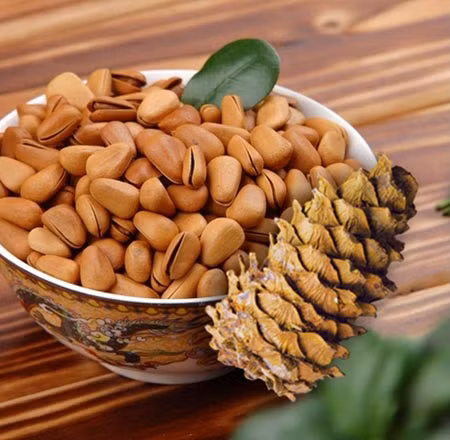  Hạt thông là loại hạt lấy từ quả của cây thông. Hạt thông có khoảng 20 loài hạt giống khác nhau. Ảnh Hatdinhduong.