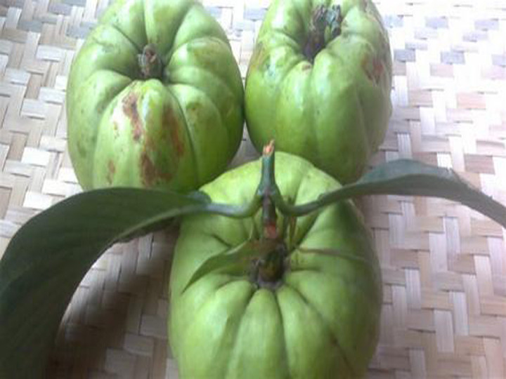 Ở Việt Nam, quả tai chua mọc trong rừng núi vùng trung du các tỉnh Lào Cai, Hà Giang, Hòa Bình, Lạng Sơn... Ảnh caygiong365.