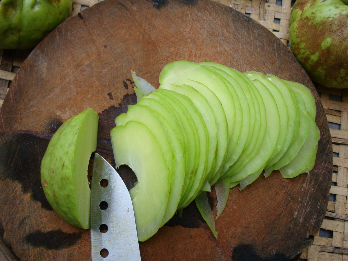 Quả tai chua khi già thường được thu hái để sấy khô để có thể bảo quản được lâu. Ảnh wordpress.