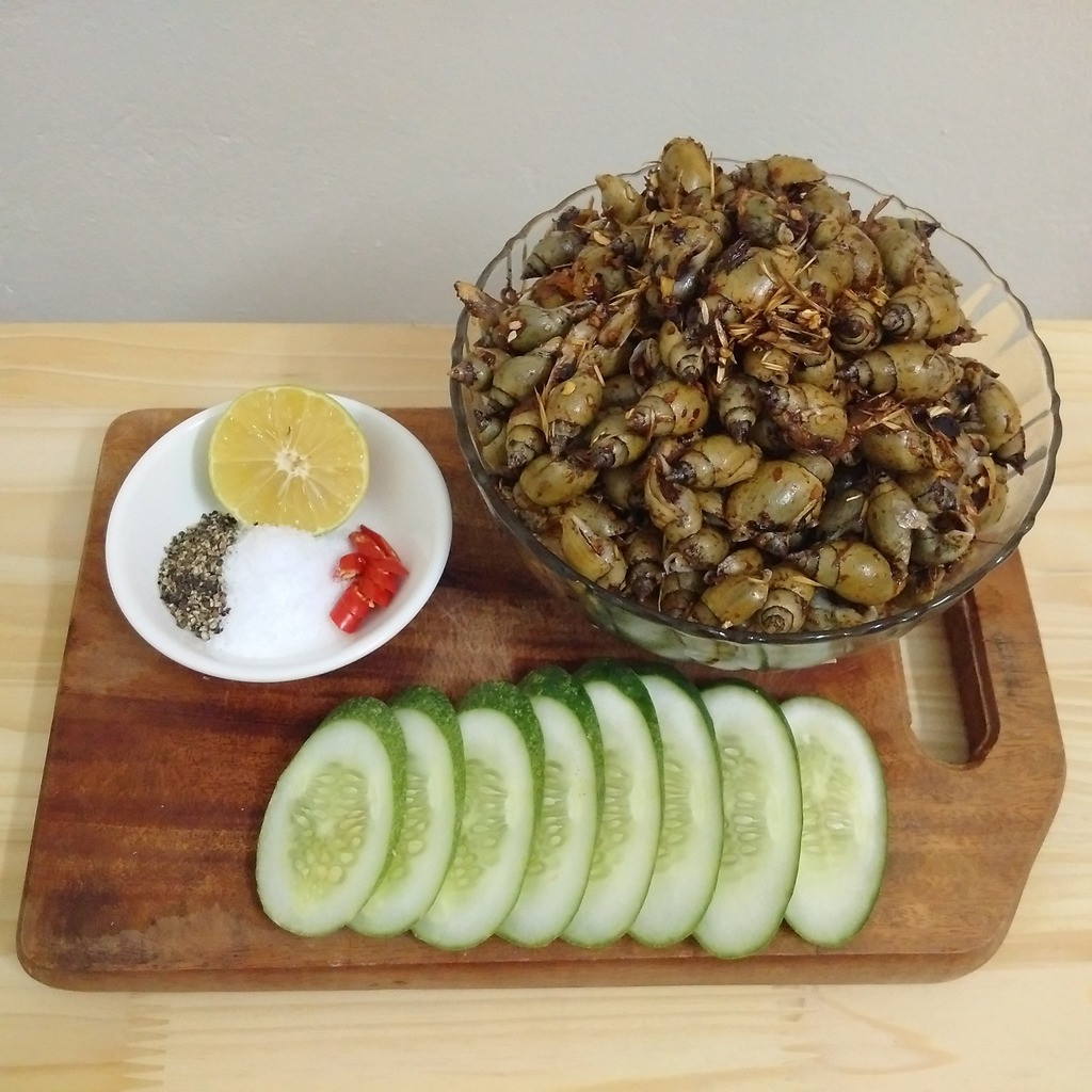 Loài ốc này to nhất cũng chỉ bằng đầu ngón tay cái người lớn. Ảnh photobucket.