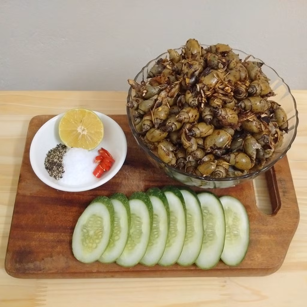 Loài ốc này to nhất cũng chỉ bằng đầu ngón tay cái người lớn. Ảnh photobucket.