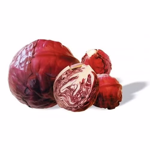 Giống như tên gọi của nó, bắp cải đỏ có màu đỏ tía, gân trắng, hoặc màu nâu đỏ ngả sang vàng xanh. Ảnh ucancook.