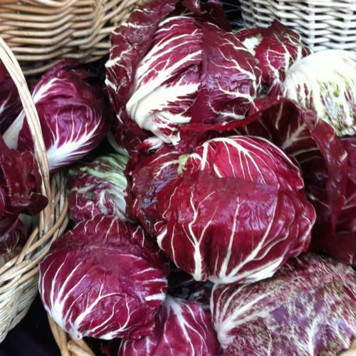 Đặc biệt, lá của bắp cải đỏ có màu đỏ sẫm hoặc tím. Sự thay đổi màu sắc này phụ thuộc vào độ pH của đất. Ảnh littlegardens.