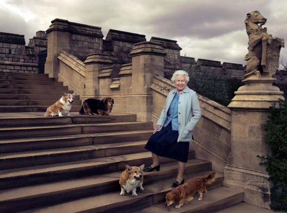 Nữ hoàng Elizabeth thậm chí còn từng nói rằng: những chú chó cưng của bà chính là gia đình của bà.