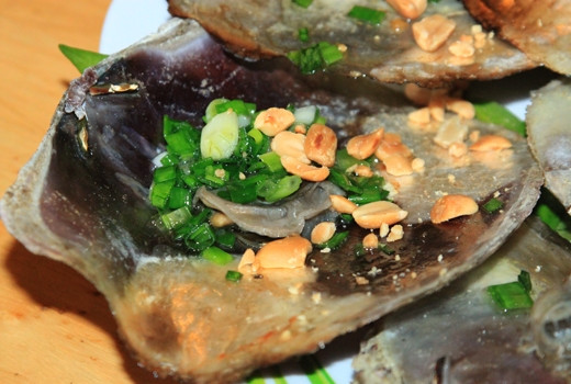 Trong tự nhiên, chồng đực sống trên lưng con hàu và xếp chồng lên nhau, vì thế chúng mới có tên gọi như vậy. Ảnh yan.