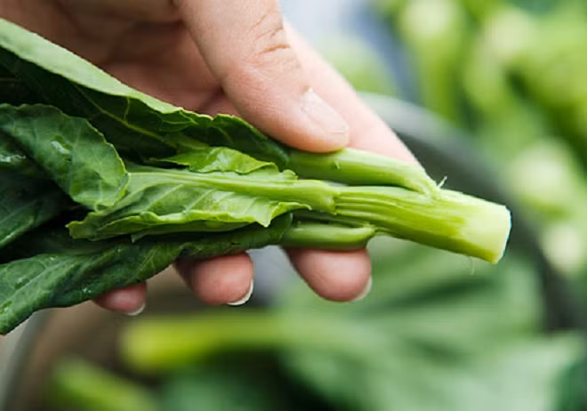 Rau cải ngồng cũng rất phù hợp với điều kiện khí hậu nước ta, lại kháng bệnh tốt nên rất dễ trồng. Ảnh Yeutre.