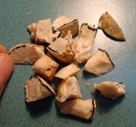 Xưa kia, nấm Phục linh thiên được vua chúa Trung Quốc hầm với chim công già để thưởng thức. Ảnh samvudiep.