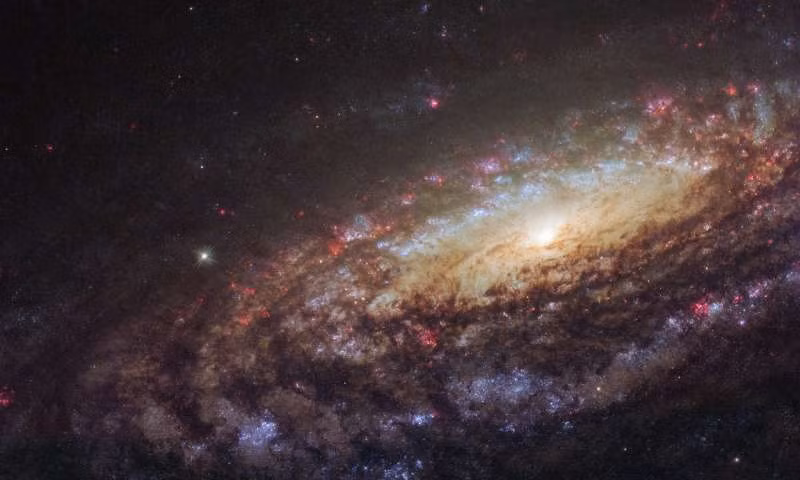 Nguồn ảnh: Phys.