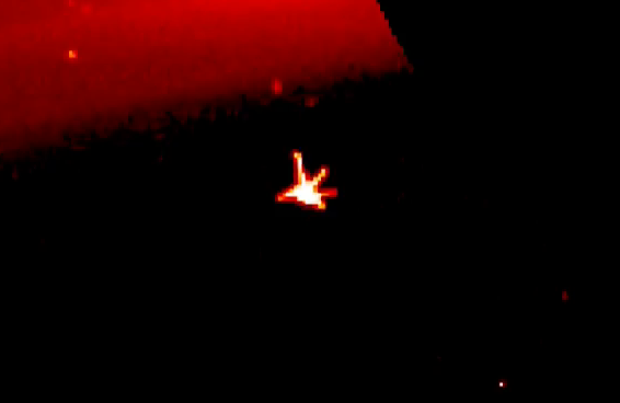 Vat the hinh chim hac lo lung trong khi quyen Mat troi-Hinh-2