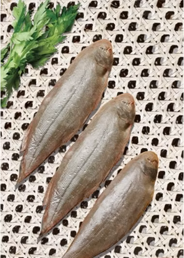 Cá lưỡi trâu có thịt thơm ngon và được thưởng thức theo nhiều cách khác nhau như: ăn tươi, làm mắm, đông lạnh, phơi khô. Ảnh all.