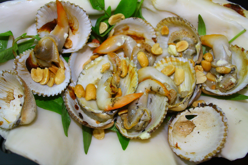 Sò mồng phân bố rộng khắp trên các vùng biển Việt Nam. Ảnh staticflickr.