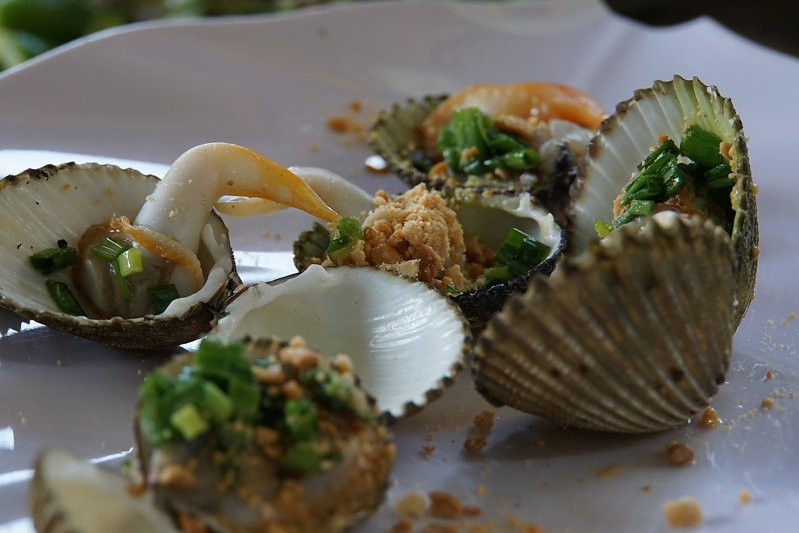 Sau khi bắt được, sò mồng được ngâm trong nước mặn vài giờ để cho các chất nhầy, rong bùn nhả ra hết. Ảnh otosaigon.