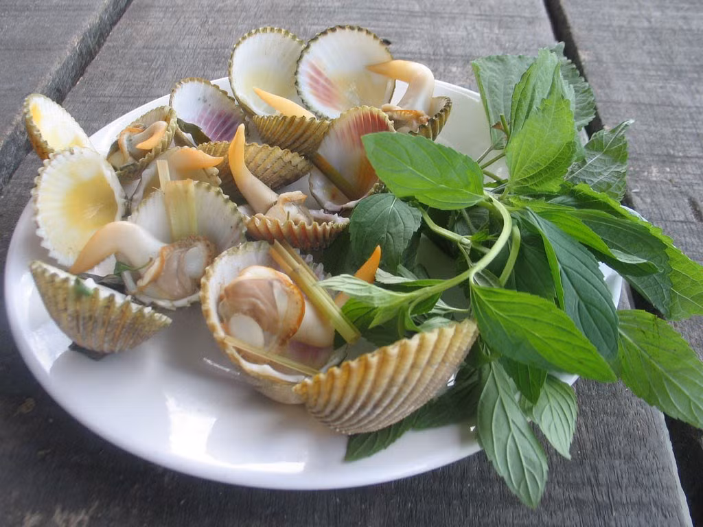 Sò mồng thường được chế biến bằng nhiều cách như nướng, hấp, nấu cháo đều ngon, tuy nhiên thơm ngon hấp dẫn nhất là nướng mỡ hành. Ảnh wp.