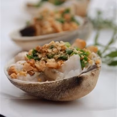 Sò chén thường sống ở những vùng nước sâu và trong, có mức thuỷ triều lên xuống cao. Ảnh Chef Dzung.