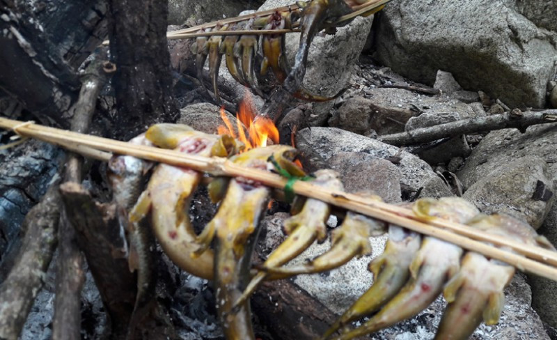 Đúng như tên gọi của nó, thịt cá đắng có vị đắng chứ không phải vị ngọt thơm như những loài cá bình thường khác. Theo người dân, nước khe, rêu đá có vị đắng và loài cá ăn thứ rêu đá, nước khe ấy nên thịt cũng có vị đắng. Ảnh phunuvietnam.