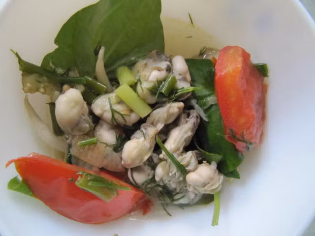 Hà cồn chứa nhiều chất dinh dưỡng và được chế biến thành nhiều món ăn ngon như xào bầu non hoặc măng chua, nấu cháo, kho tiêu,...Ảnh dulichhalong24h.