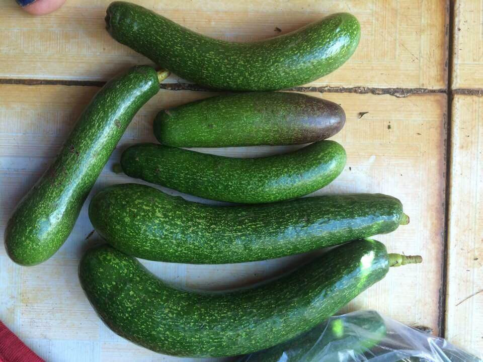 Bơ không hạt ăn có vị đậm, dẻo, thơm ngậy giống như giống bơ 034 nổi tiếng. Ảnh hoaquataynguyen.