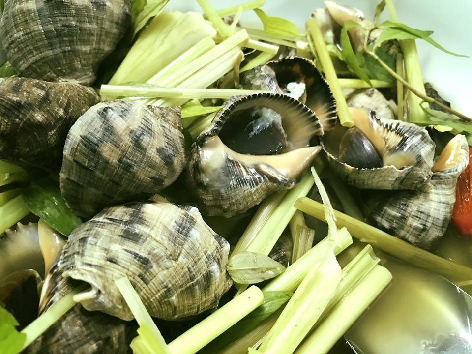 Cũng giống như những loài ốc khác, luộc, xào và hấp là những cách chế biến phổ biến đối với ốc gừng, tuy nhiên hấp dẫn nhất vẫn là món ốc luộc và ốc xào sả ớt. Ảnh haisantuoisachbienhoa.