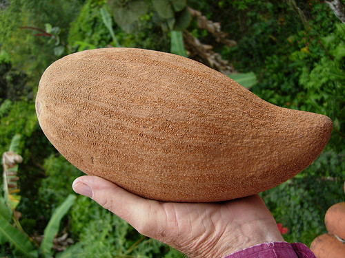 Hồng xiêm ruột đỏ có hương vị thơm ngọt không khác gì các giống hồng xiêm trong nước, đồng thời còn chứa rất nhiều chất dinh dưỡng tốt cho sức khỏe. Ảnh amazonaws.